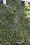 PtP 290123 0878