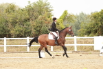 SBM_002863