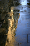 Reflections after rain _SP004