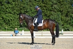 257-TURBO-Isabelle_Cook-WEDTrotUp+DR portfolio