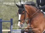 BPP_1439