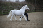 SBM_003937