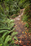 Culbone Path