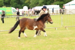 SBM_04419