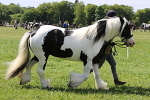 SIAL4268