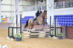 SBM_009513
