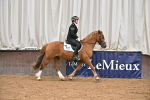 SBM_002952