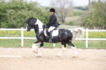 SBM_007269