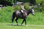 3E7A8180