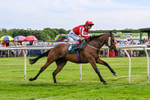 300526-Race 5-Holbache-0695