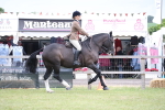 SBM_11333