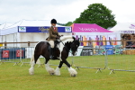 SBM_01154