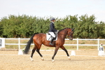 SBM_007445