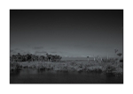 Brevard County - Merritt Island NWR II