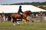 SBM_17753
