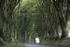 Dartmoor _ DR 002