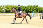 SBM_007080