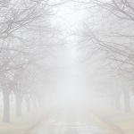 theme 5 week 1: WHISPERS