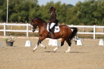 SBM_012798