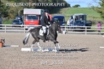BPP_8658