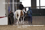 BPP_9101