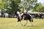 SBM_17853
