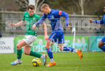 GFC v Marlow_2023-86