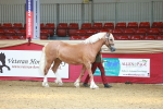 SBM_02953