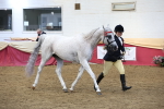 SBM_23638