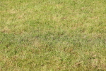 SBM_00769