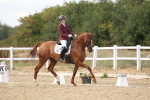 SBM_011803