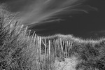 Picket Fence 05