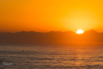 Pectal fin at sunrise