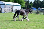 SBM_09516