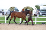 SBM_05726