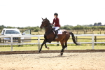 SBM_004203