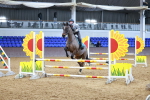 SBM_001295
