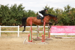 SBM_006206