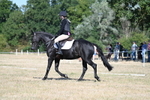 WJ7_9514