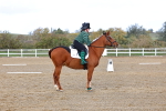 SBM_002347