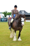 SBM_00996