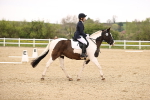 SBM_006830
