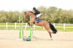 SBM_006034