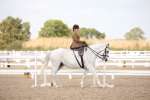 SBM_06772