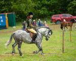 Dunblane show-628