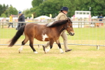 SBM_04360