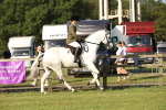 SBM_10645