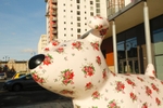 4. Rosy Posy, Churchill Way