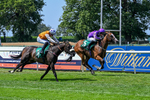 160726-Race 2-Hatamoto-4245