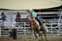 3HRodeo8-4-24_CFD_3HR-YUMA- 6664_